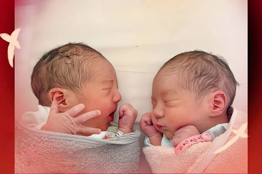 马蹄声声来报喜！216 个 “小马驹” 踏春而来，有 4 对双胞胎