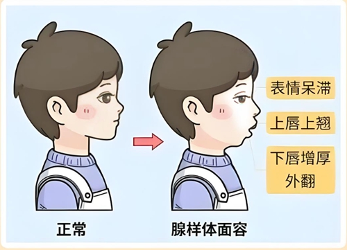 微信图片_20250623170651.jpg