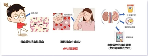 微信图片_2025-09-08_080054_079.jpg