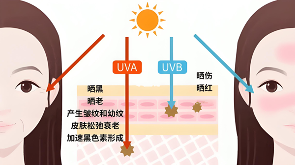 微信图片_2025-10-09_081611_639.png