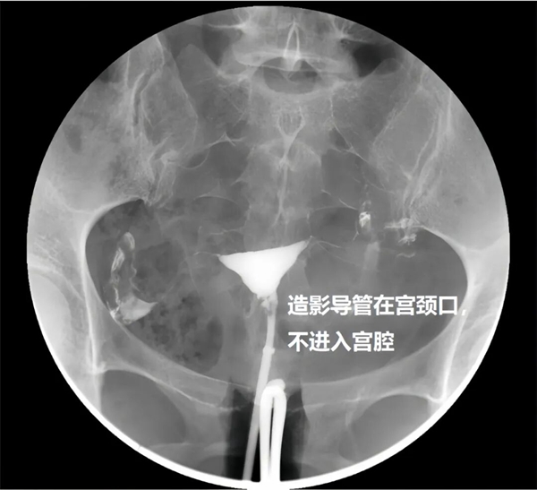 微信图片_2025-10-11_081319_231.jpg