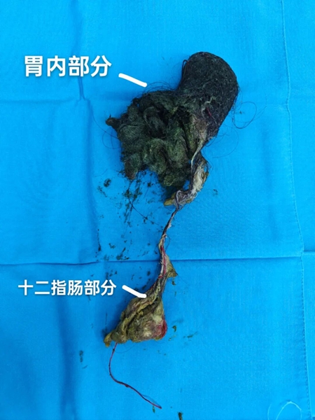 微信图片_2025-10-14_081100_459.jpg