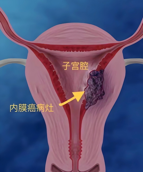 微信图片_2025-10-24_081031_857.png