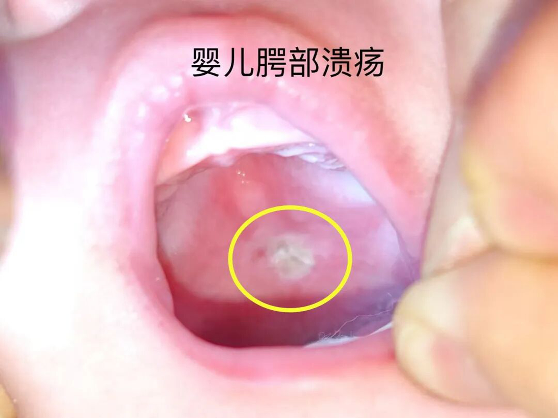 微信图片_2026-05-29_081131_066.jpg