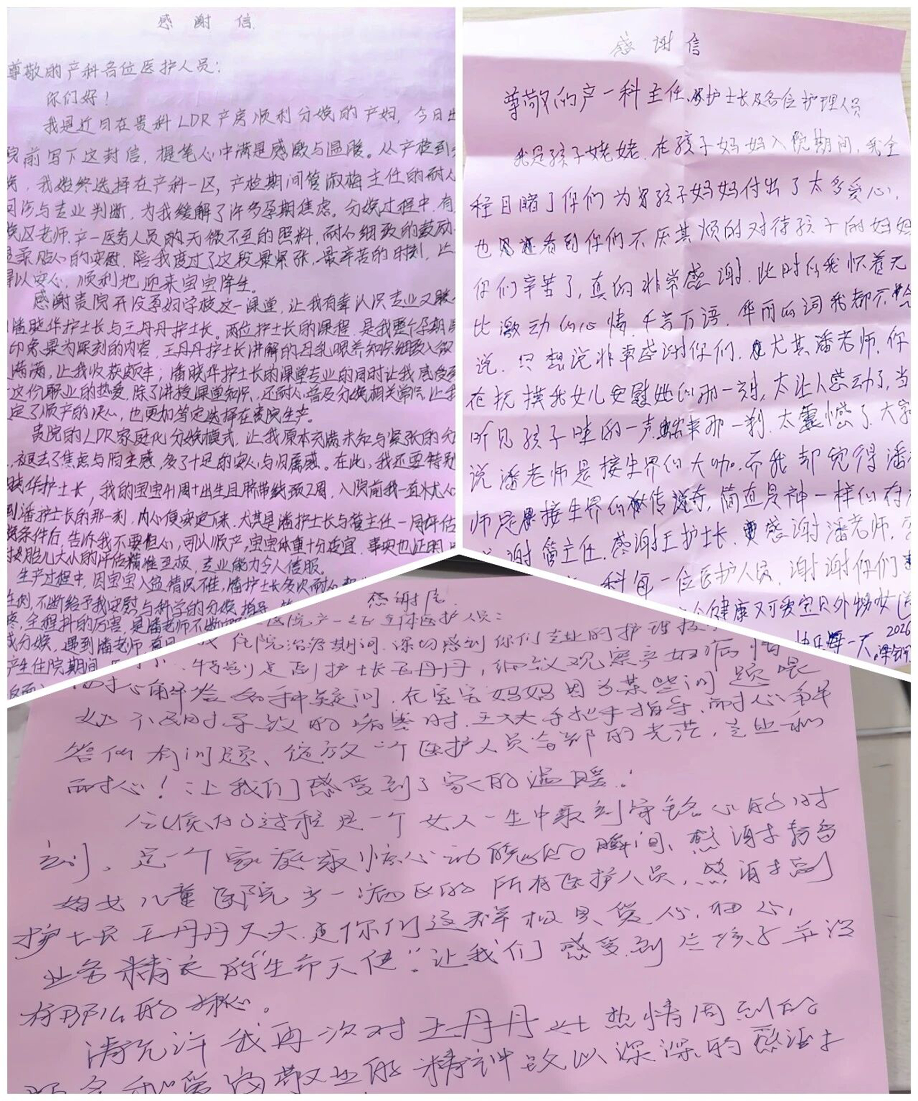 微信图片_2026-06-08_081026_150.jpg