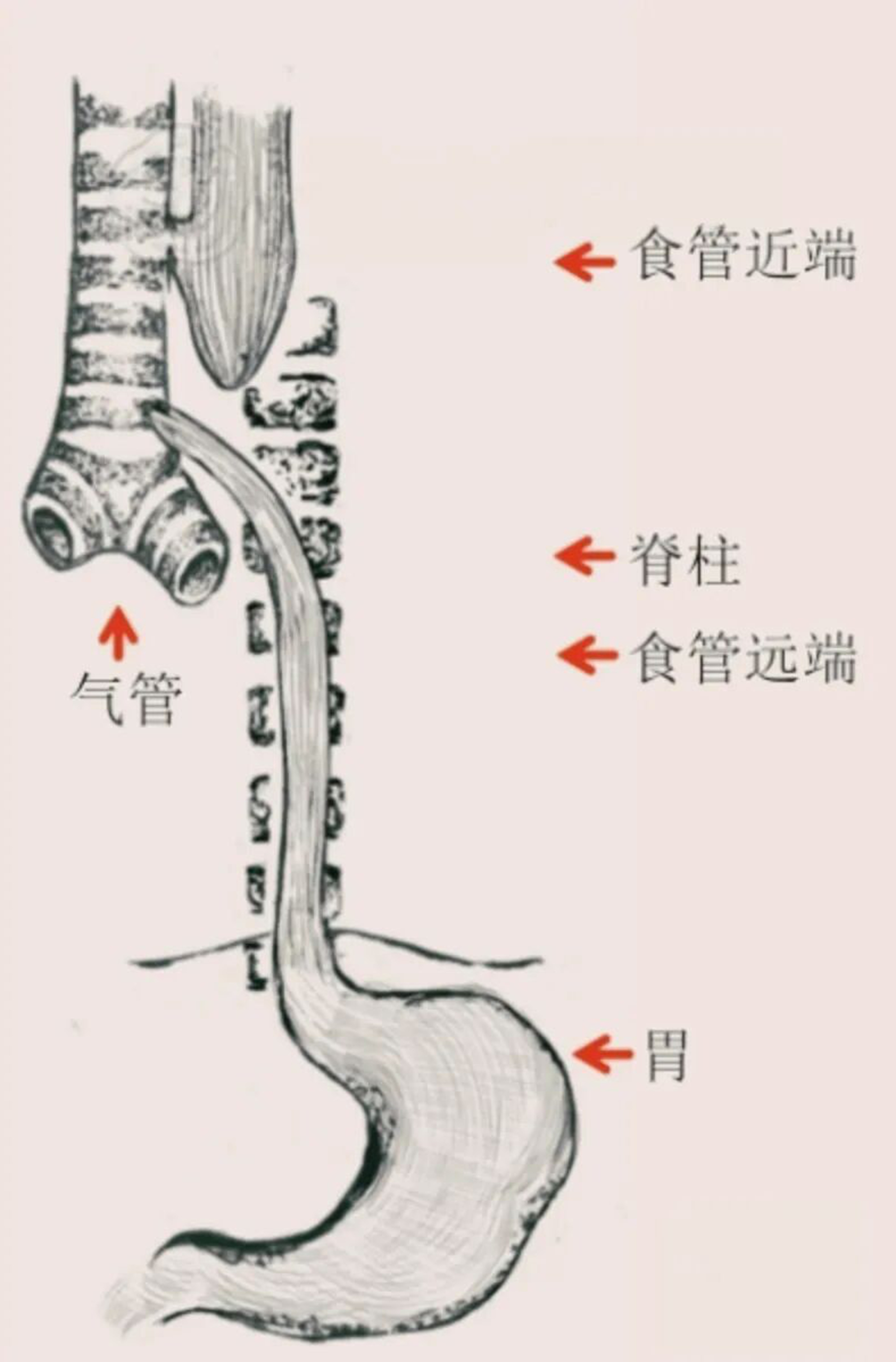 微信图片_2026-06-23_080702_926.jpg