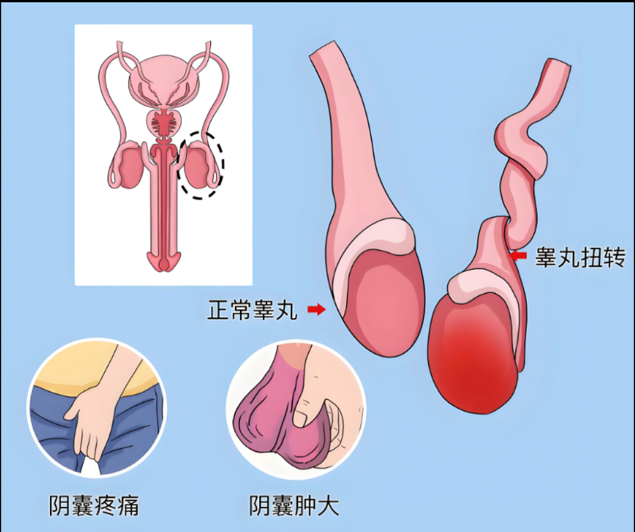 微信图片_2026-09-10_081028_590.jpg